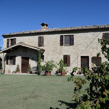 Cascinale La Mimosa Bed & Breakfast Cupramontana Bagian luar foto