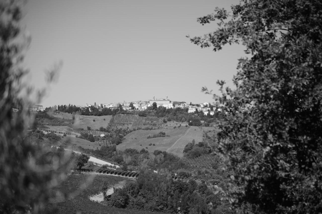 Cascinale La Mimosa Bed & Breakfast Cupramontana Bagian luar foto