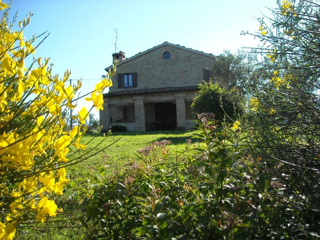 Cascinale La Mimosa Bed & Breakfast Cupramontana Bagian luar foto