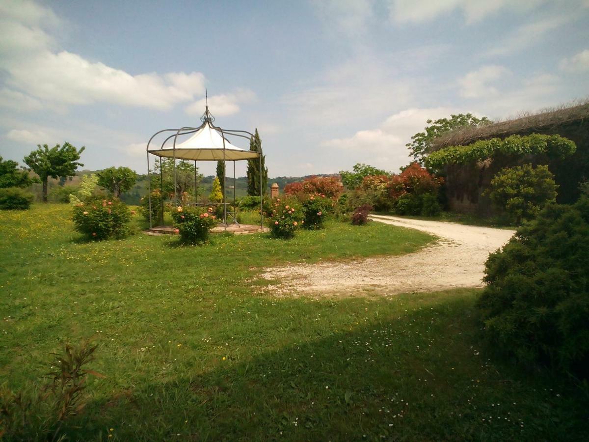 Cascinale La Mimosa Bed & Breakfast Cupramontana Bagian luar foto
